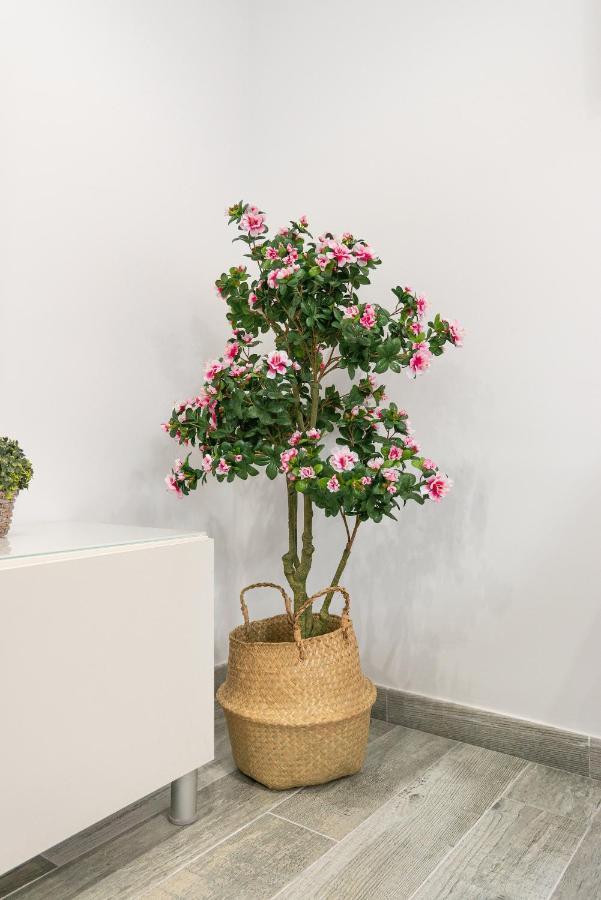 Faro, Bonito Apartamento En La Malagueta Málaga Extérieur photo
